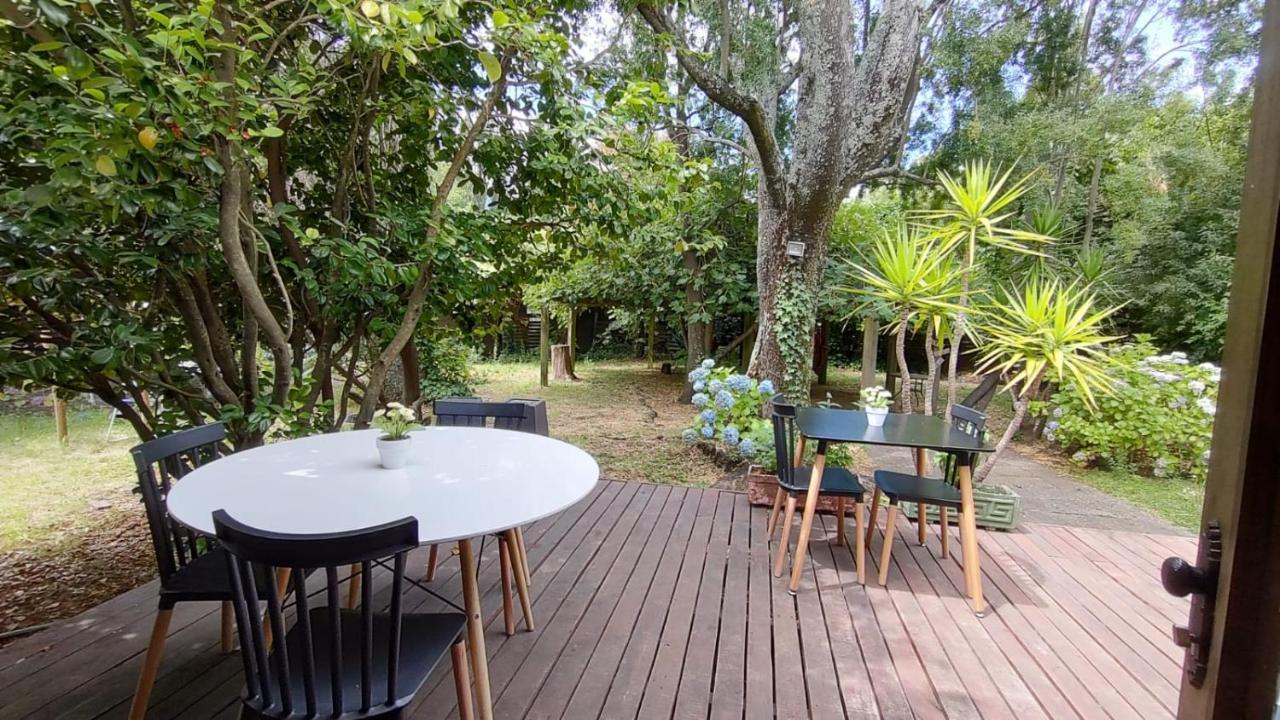 La Nuez BnB Pucón Exterior foto