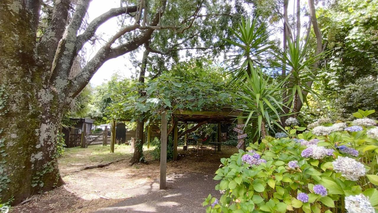 La Nuez BnB Pucón Exterior foto
