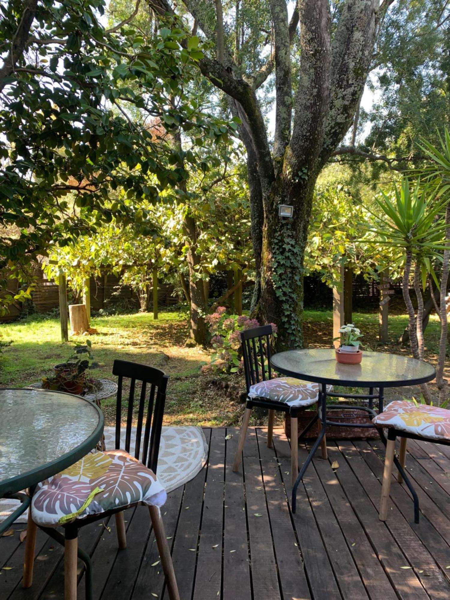 La Nuez BnB Pucón Exterior foto